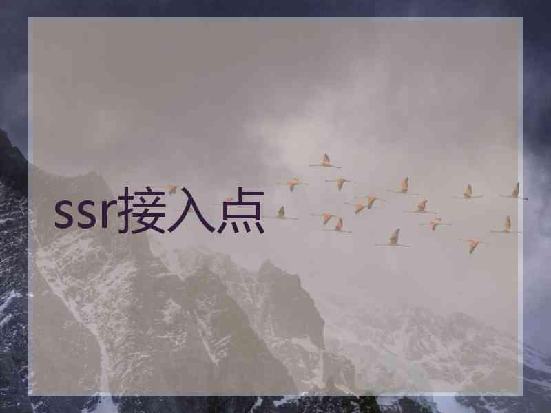 ssr接入点