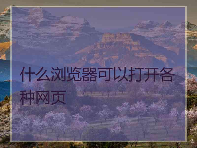 什么浏览器可以打开各种网页