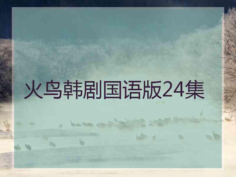 火鸟韩剧国语版24集