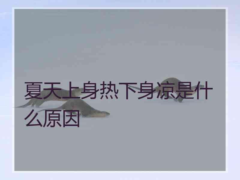 夏天上身热下身凉是什么原因