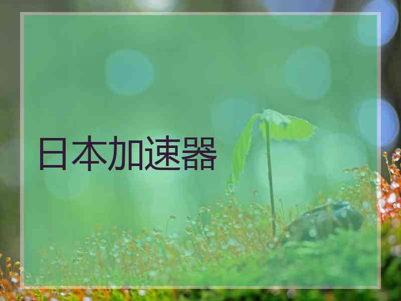 日本加速器