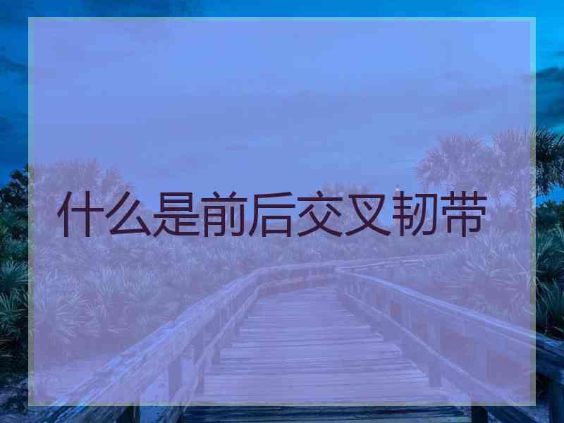 什么是前后交叉韧带