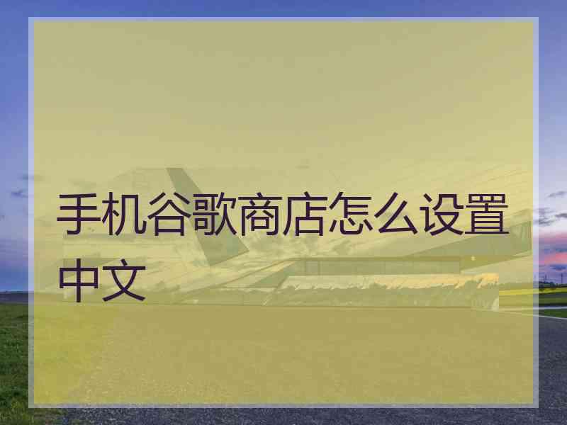 手机谷歌商店怎么设置中文