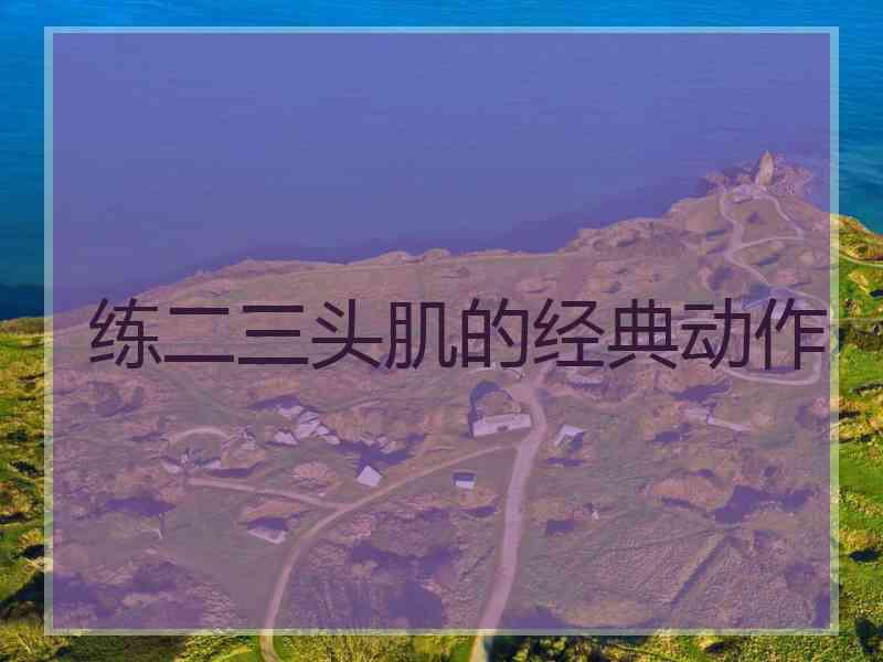 练二三头肌的经典动作