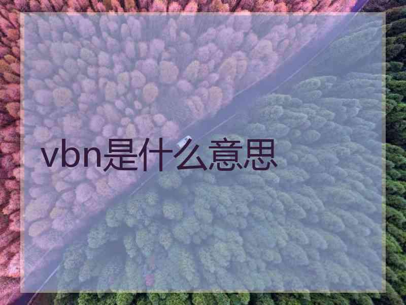 vbn是什么意思