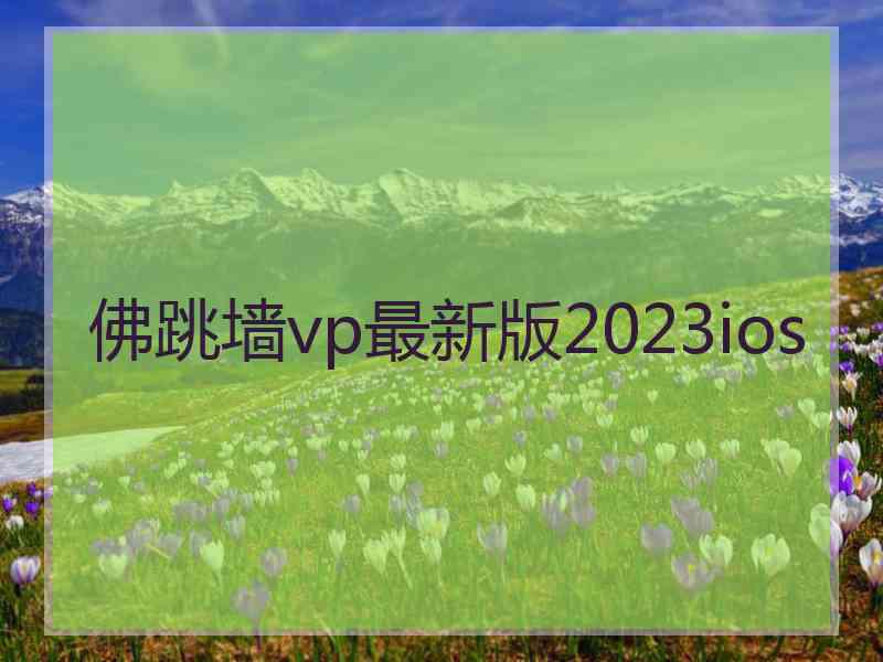 佛跳墙vp最新版2023ios