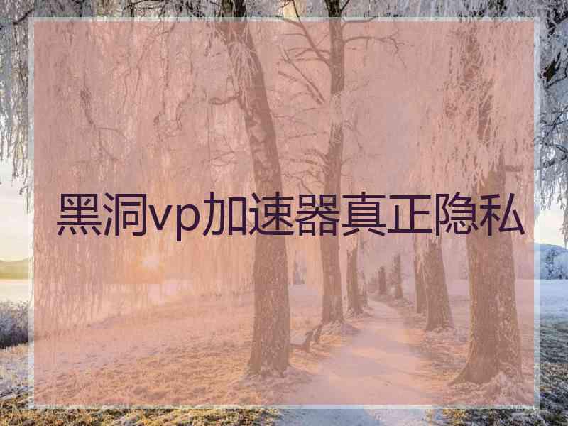 黑洞vp加速器真正隐私