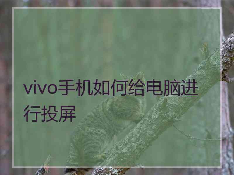 vivo手机如何给电脑进行投屏
