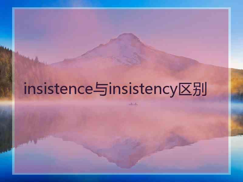 insistence与insistency区别