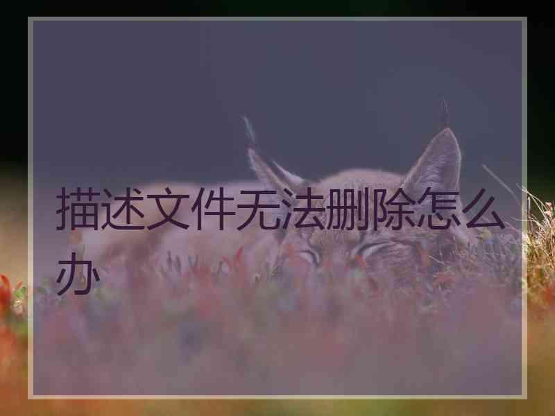 描述文件无法删除怎么办