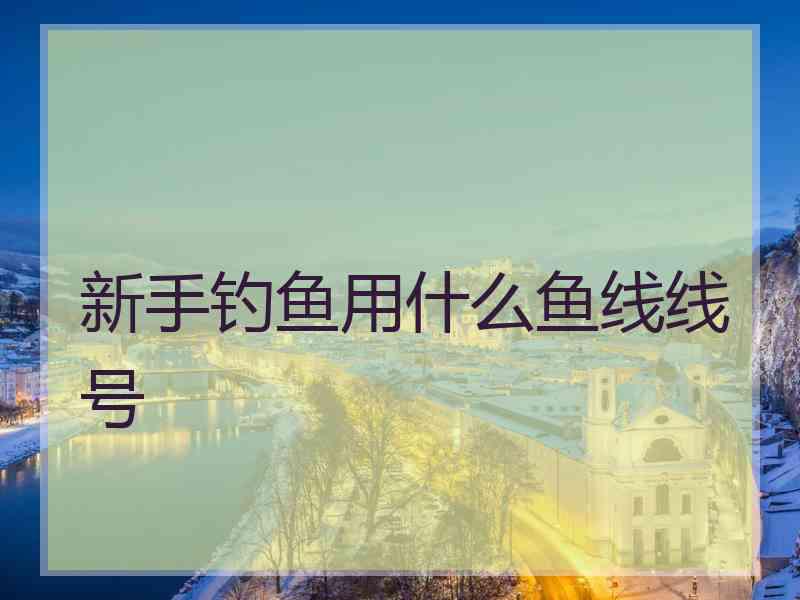 新手钓鱼用什么鱼线线号