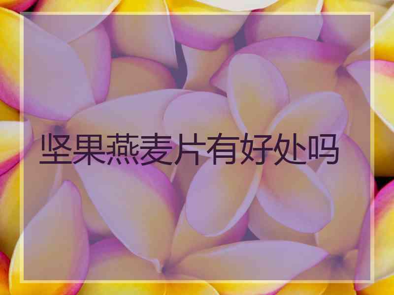 坚果燕麦片有好处吗