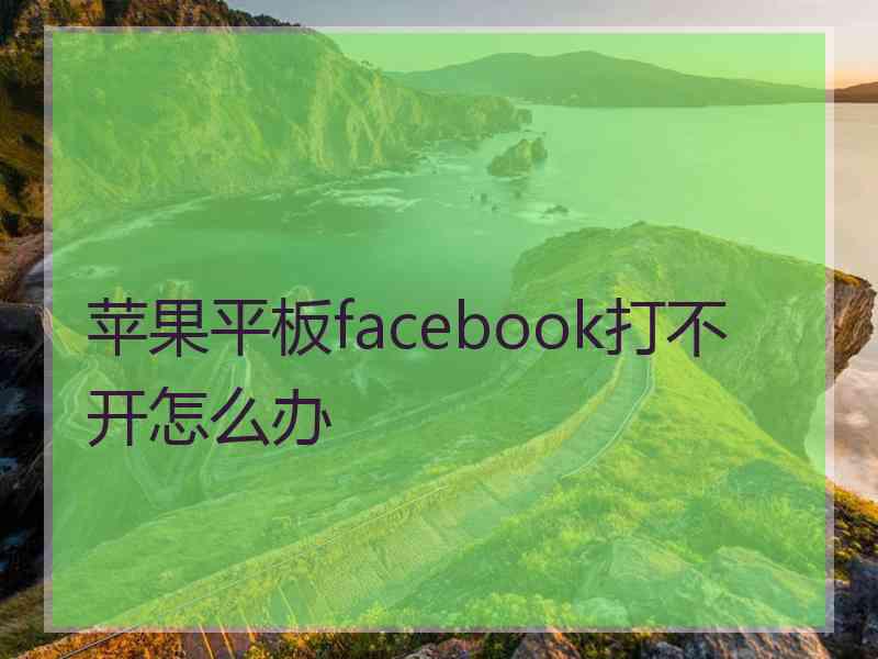 苹果平板facebook打不开怎么办