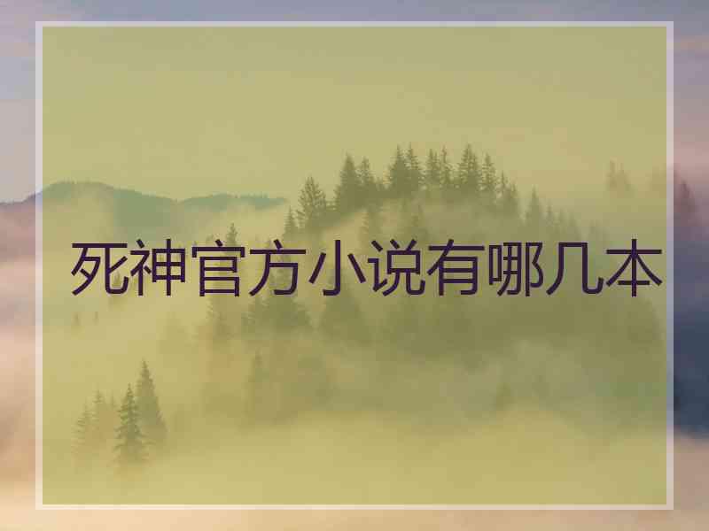 死神官方小说有哪几本
