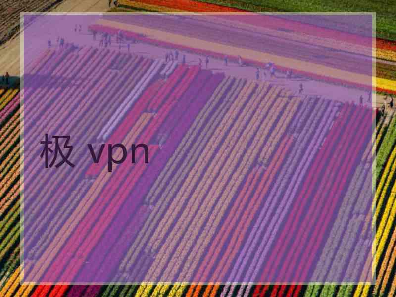 极 vpn