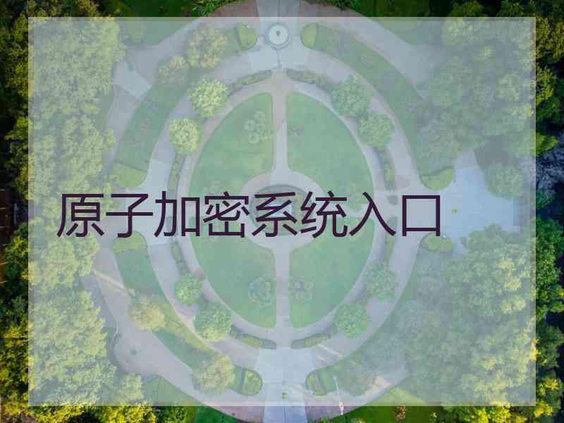 原子加密系统入口
