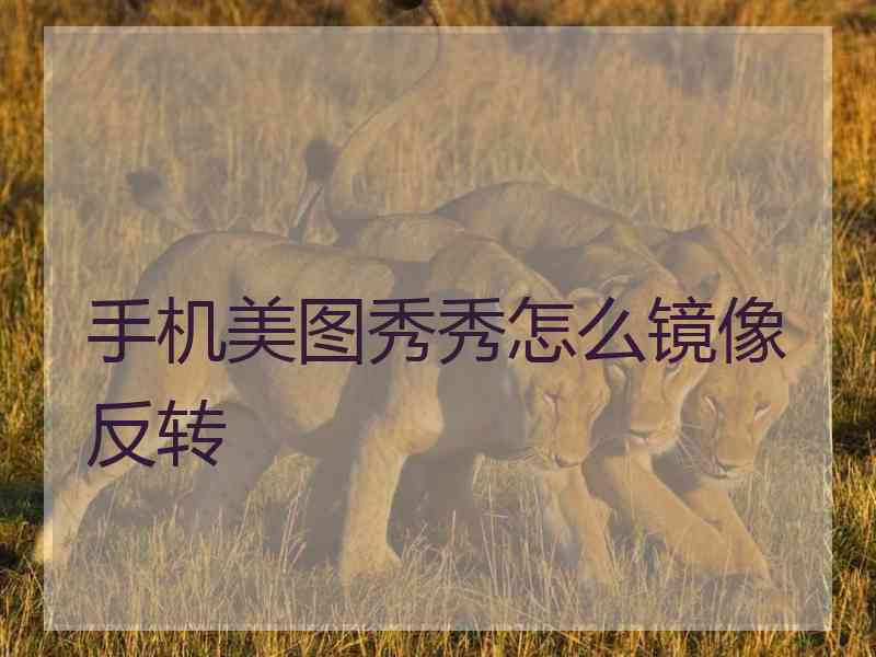 手机美图秀秀怎么镜像反转
