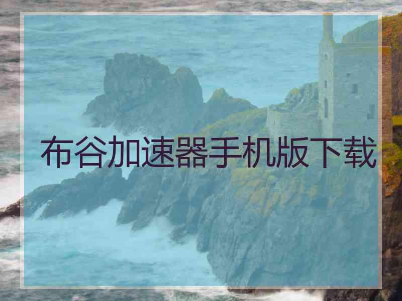 布谷加速器手机版下载