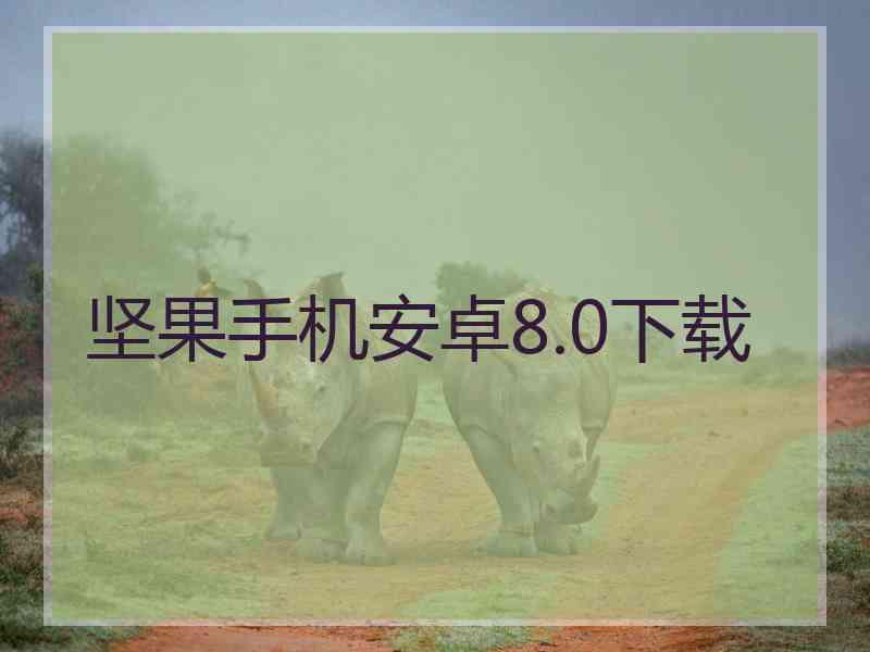 坚果手机安卓8.0下载