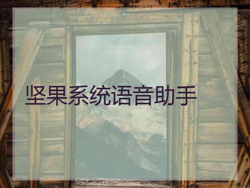 坚果系统语音助手