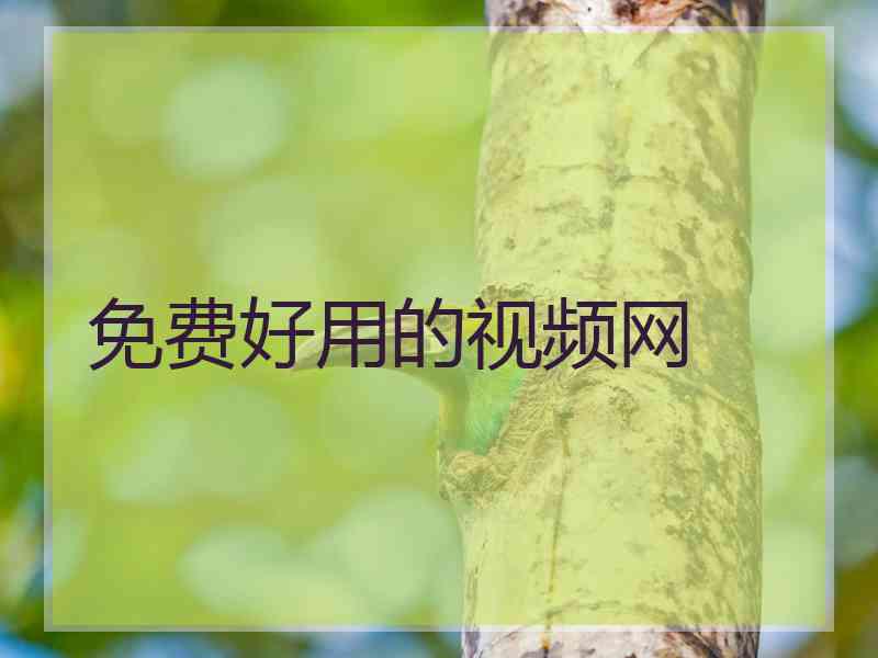 免费好用的视频网