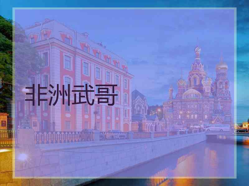 非洲武哥