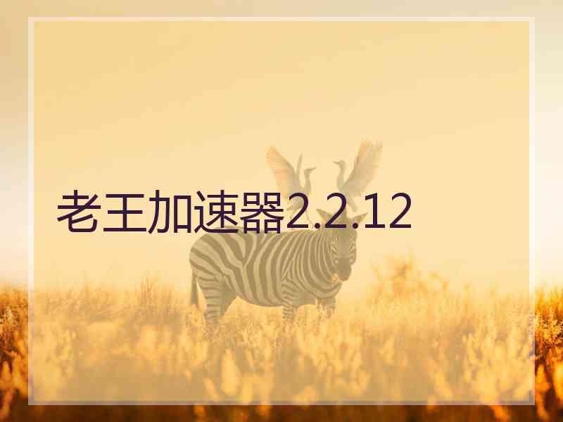 老王加速器2.2.12