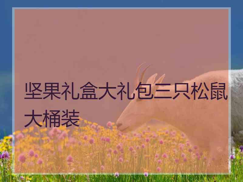 坚果礼盒大礼包三只松鼠大桶装