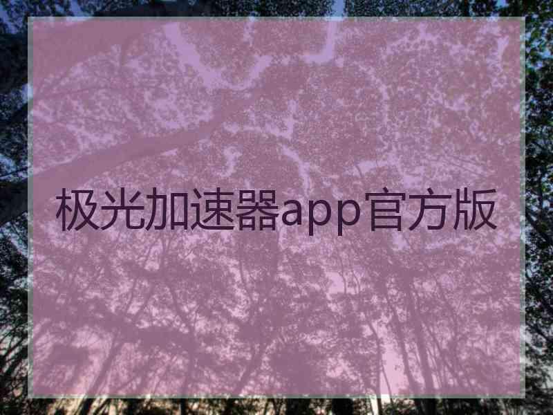 极光加速器app官方版