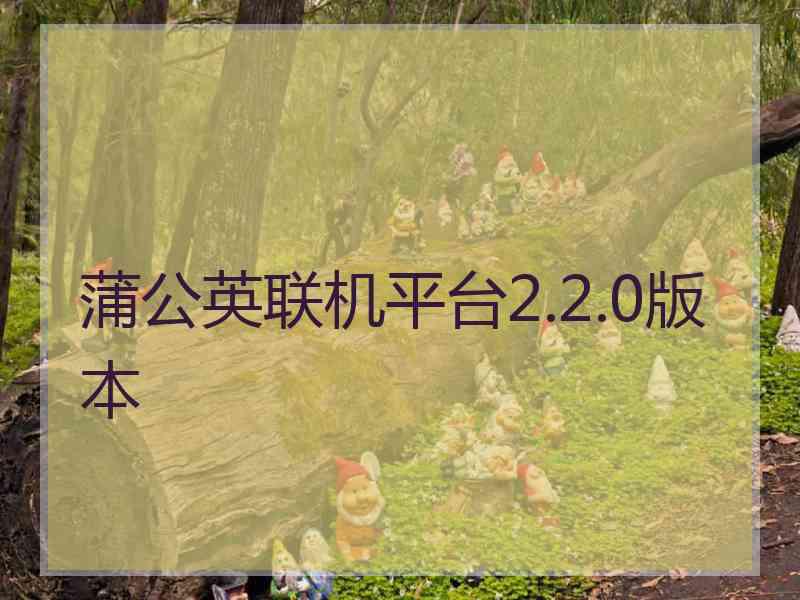 蒲公英联机平台2.2.0版本