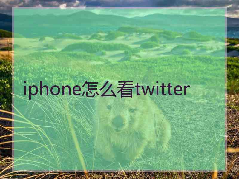 iphone怎么看twitter