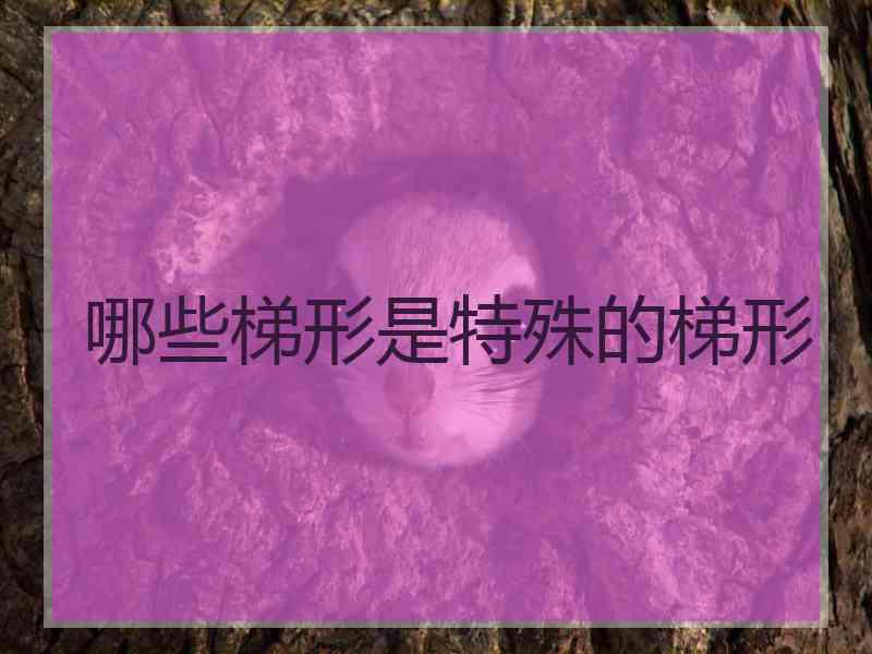 哪些梯形是特殊的梯形