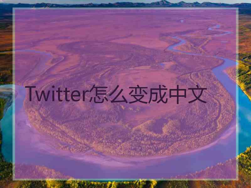 Twitter怎么变成中文