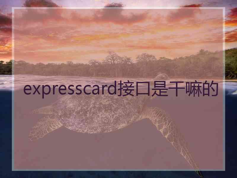 expresscard接口是干嘛的
