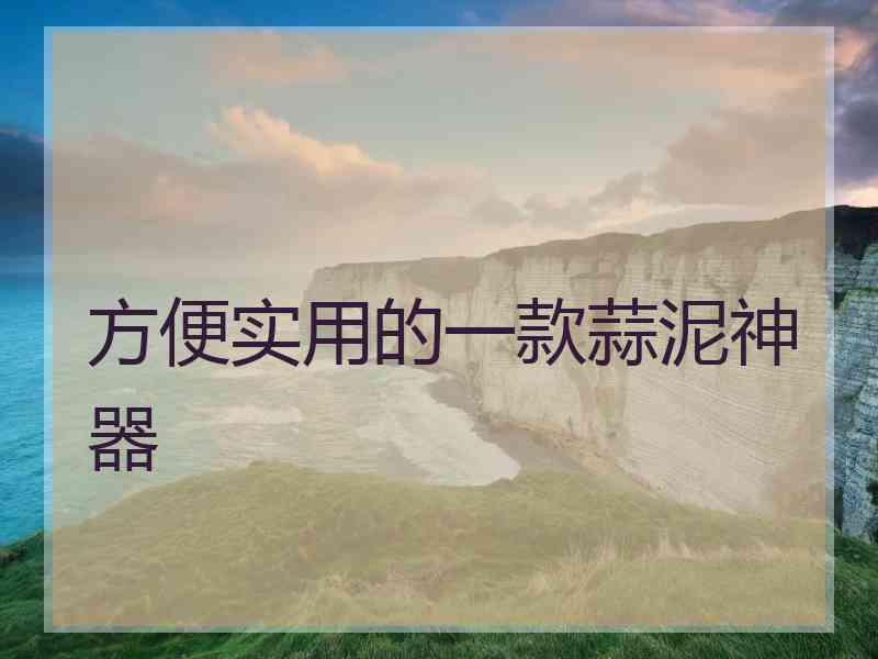 方便实用的一款蒜泥神器