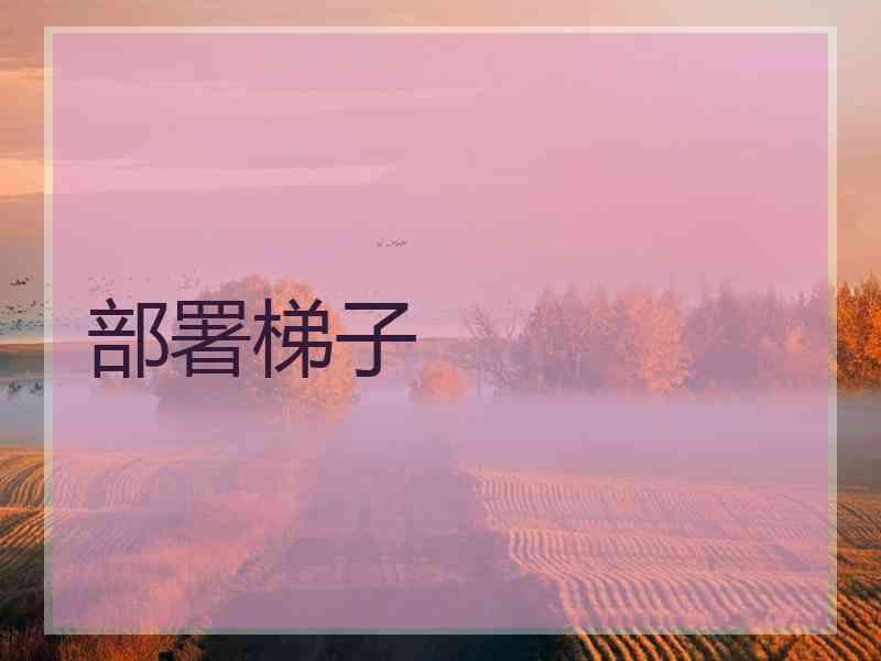 部署梯子