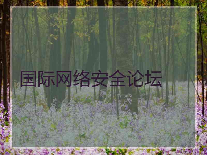 国际网络安全论坛