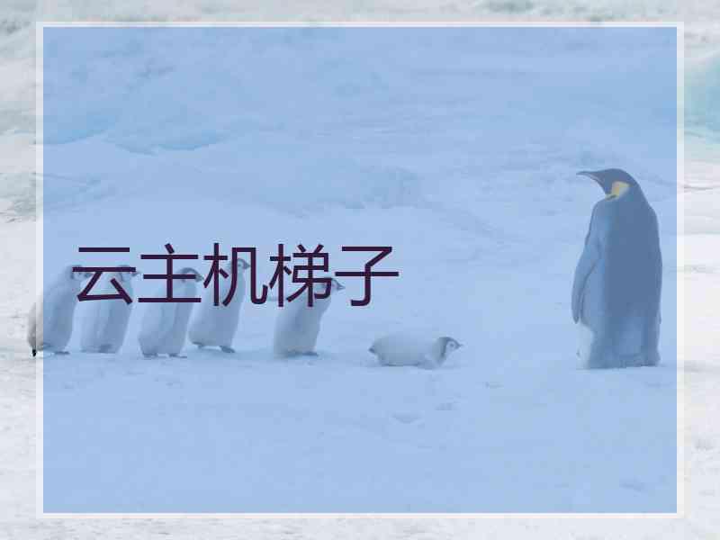 云主机梯子
