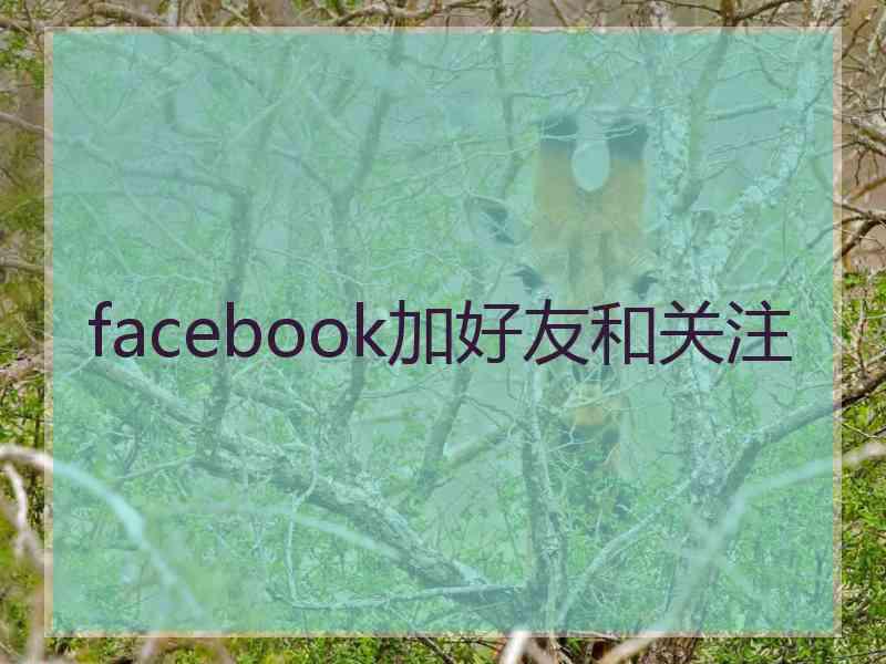 facebook加好友和关注