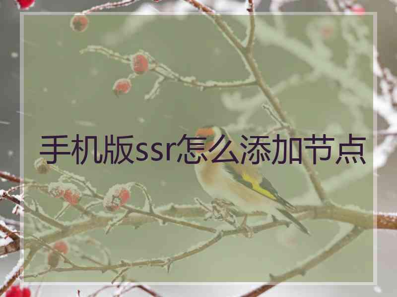 手机版ssr怎么添加节点