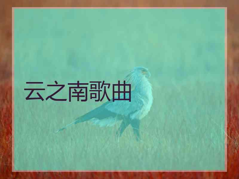 云之南歌曲