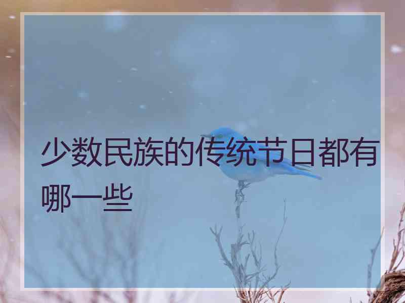 少数民族的传统节日都有哪一些