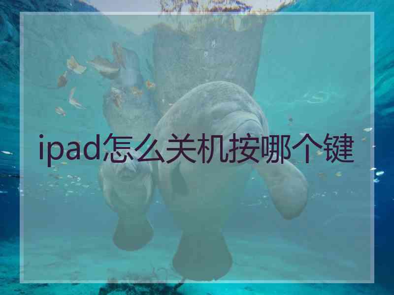 ipad怎么关机按哪个键