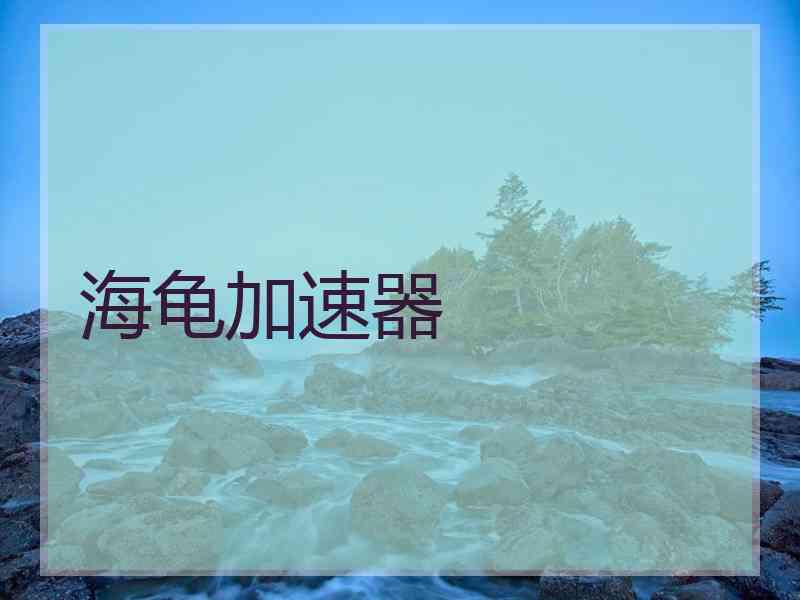 海龟加速器
