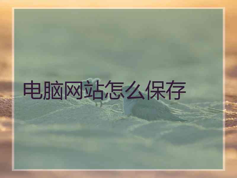 电脑网站怎么保存