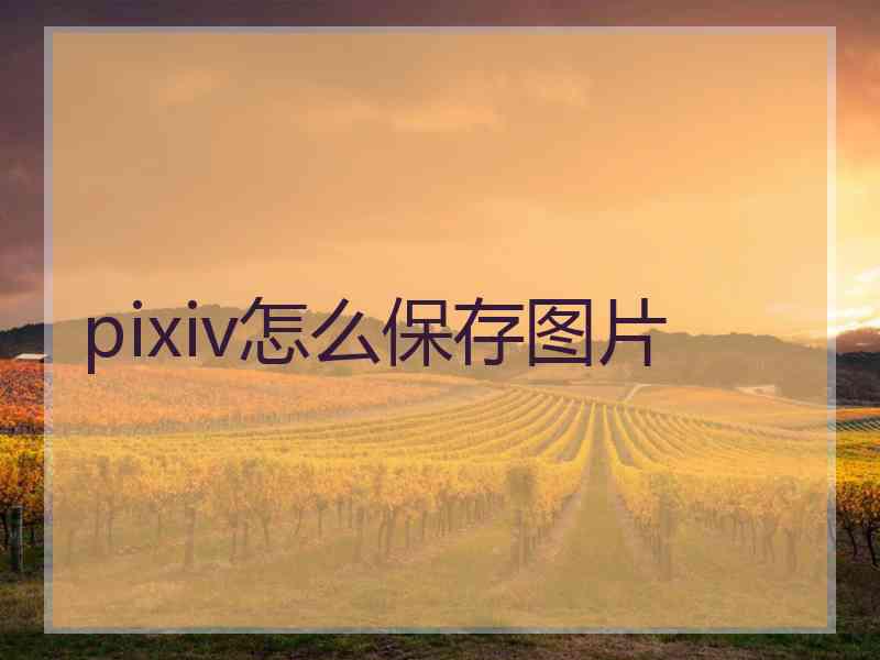 pixiv怎么保存图片