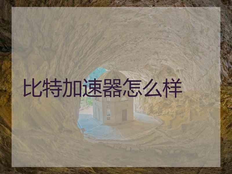 比特加速器怎么样