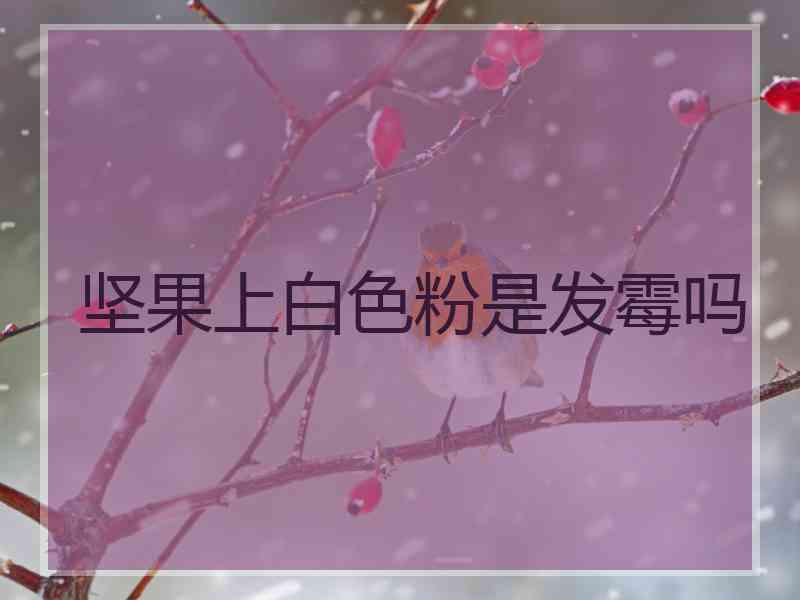 坚果上白色粉是发霉吗