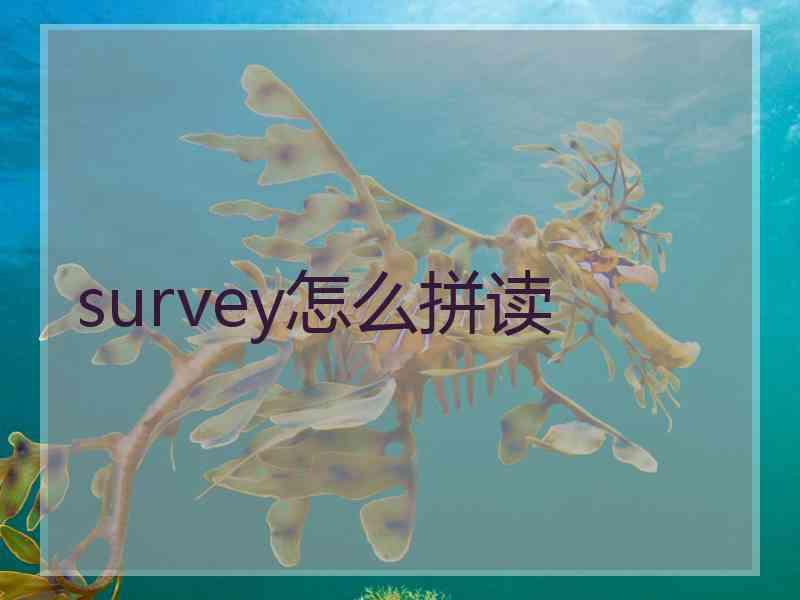 survey怎么拼读