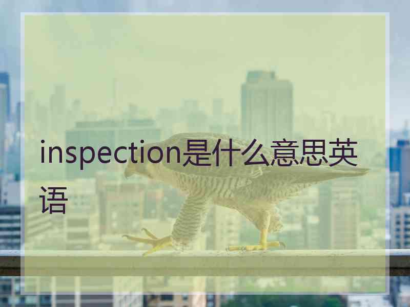 inspection是什么意思英语